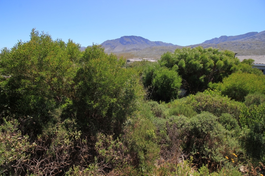 0 Bedroom Property for Sale in Pringle Bay Western Cape